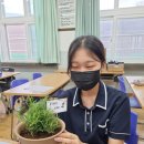 경상중학교 이미지