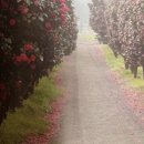 쇠소깍오메기식당1 이미지