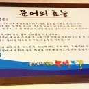 문어천하(방이점) 이미지