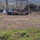 웅동마을 이미지