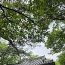 선운사 도솔암 이미지