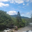 꿈벌사슴목장 이미지