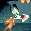 톰과제리 이미지