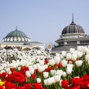 호토모토 이미지