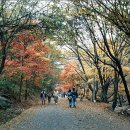 제 49회 정기산행은 소요산(587m)입니다... 이미지