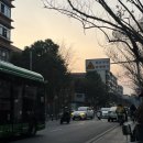 옥림식당 | [중국여행] 청두 여행 4일차 Yulin 거리 옥림 양꼬치 맛집 (청두 우즈베키스탄 양꼬치 맛집, 청두 현지...