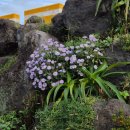 제주532스테이 이미지