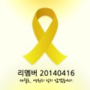 적 Daum카페
