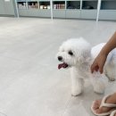 남산연합동물병원 이미지