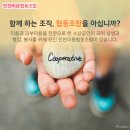 샬롯에스테틱