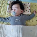 플러피라운지 이미지