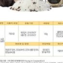하루 나트륨 섭취량 용융소금 죽염 히말라야 함초 소금 효능 이미지