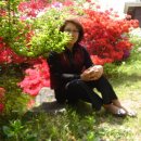 마그실농원 이미지