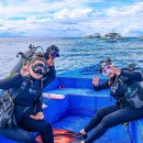 빵빵터지는가이드영어 | 세부 체험다이빙 스쿠버 + 호핑투어 동시에 가능