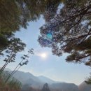 물숲(명천) 이미지