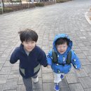 서호유치원 이미지