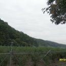 산막골 농장 이미지