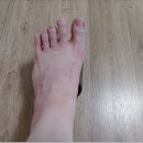 토굴 한증원
