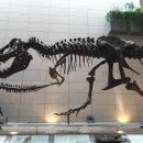 지질박물관 이미지