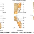본큐어한의원 이미지
