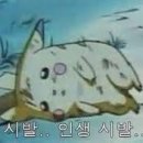 케이프린트 이미지