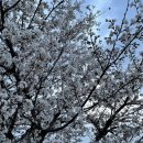 대성싱싱축산 이미지