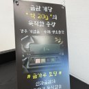 쵸코렛 | 경주기념품 오르신라 수제초콜릿 후기