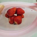 주식회사 모카 | 스타벅스 스프링 실리콘 푸드백 사용후기! 환경과 실용성을 동시에🍓