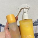 태라비타민 | 퍼퓸헤어오일 블라세아 비베사 바이탈 비타민 헤어에센스 / 비베사 헤어 디펜스 에센스