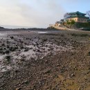 로움상사 이미지