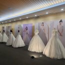 하이어웨딩플랜 | [웨딩준비] 하이어웨딩과 함께 결혼준비 뚝딱뚝딱 해결하기! 💍🤍(하이어웨딩플랜 최정원플래너후기)