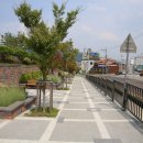 음성읍 명품가로숲길 이미지