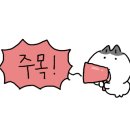 꼬김빱다대