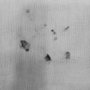 동주동물병원 이미지