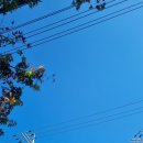 상사동로-11 이미지