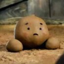 야옹아멍멍해봐미용