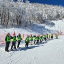 경희대 파란 태권도 이미지