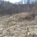 대야농장 이미지