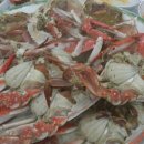 데일리민디 이미지