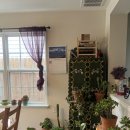 생활영어회화(주말/원어민) | 캠블리 화상영어 원어민 회화 6년차 찐후기 + 할인코드