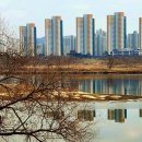 소유행정사사무소 이미지