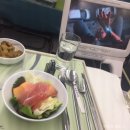 PNH 동물병원 | 반려동물 해외여행 후 한국으로 돌아갈 때 서류준비