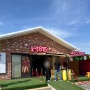 815 | 아산 유채꽃 송악815 방문후기 (26.4.19. 방문)