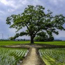 빨간지붕 이미지