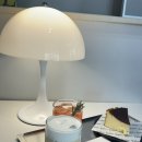 팜에이드 | 산본 감성카페 팜 paam 방문 후기 바스크 치즈케이크 자몽에이드 밀크티 솔직 리뷰!