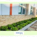 자연유치원 | 오창유치원 자연과 함께 성장하는 아이, 해든유치원 후기