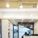 석동물병원 이미지