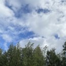 제주숲한의원 이미지