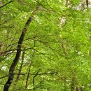 밀양댐생태공원 이미지