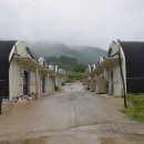 노루농장 이미지